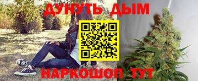 крисы Мирный