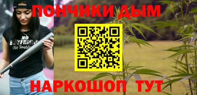 крисы Мирный