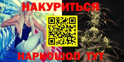крисы Мирный